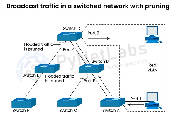 What is VTP in Networking? | VLAN Trunking Protocol 6 what is vtp