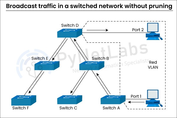 What is VTP in Networking? | VLAN Trunking Protocol 5 what is vtp