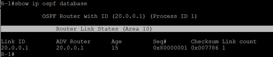 Top 11 OSPF LSA Types (Best Explained) 2 ospf lsa type 1