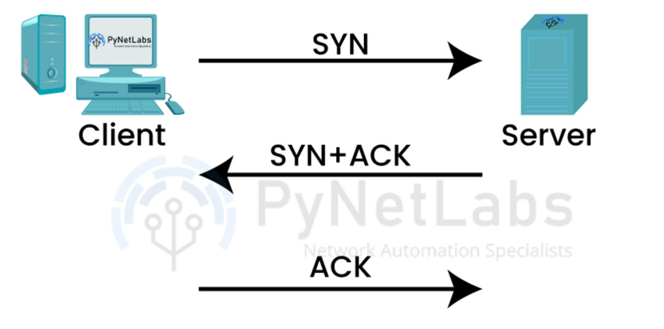 What are Network Protocols and its Types? 2 network protocols