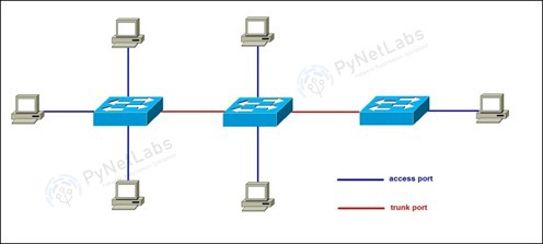 What is VLAN (Virtual Local Area Network) and its Types? 4 VLAN Ports