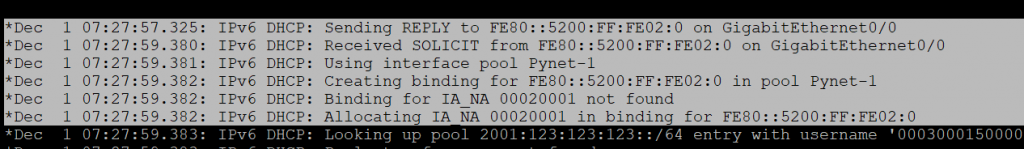 DHCP with IPv6 (DHCPv6) - Everything You Should Know 6 Debug Output