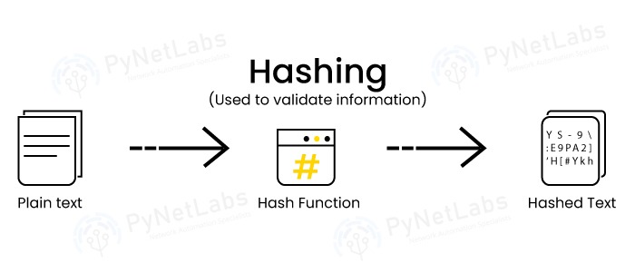 What is the difference between Encryption and Hashing? 5 Hashing Process