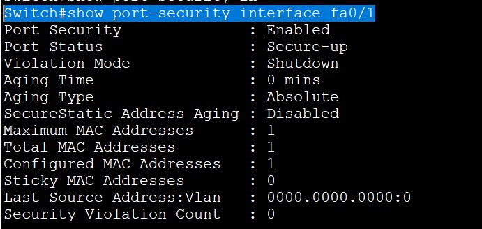 What is Port Security in Networking? 5 port security interface