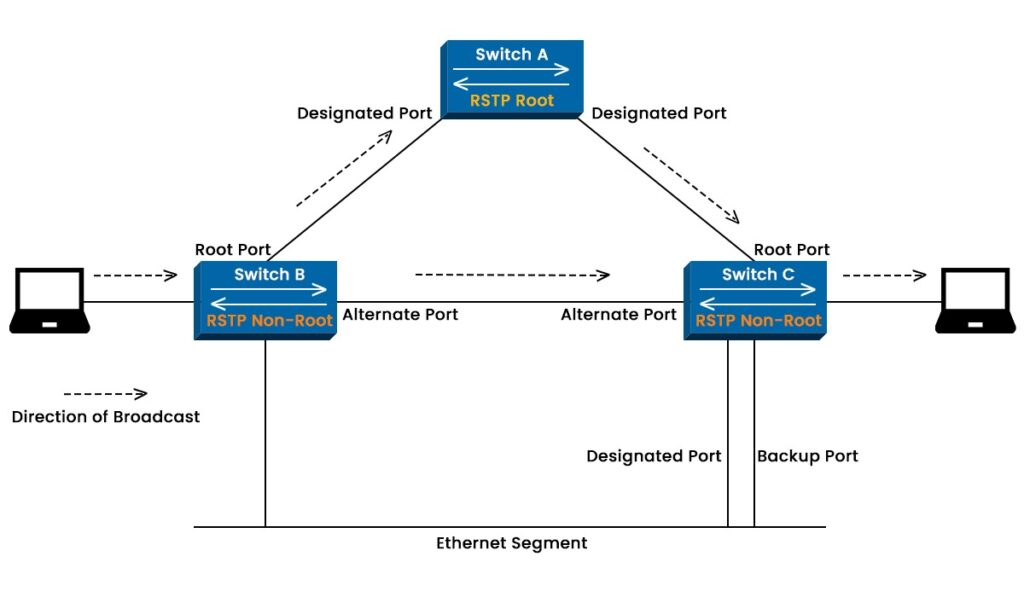RSTP Protocol in Networking || Rapid Spanning Tree Protocol 2 RSTP Port Roles