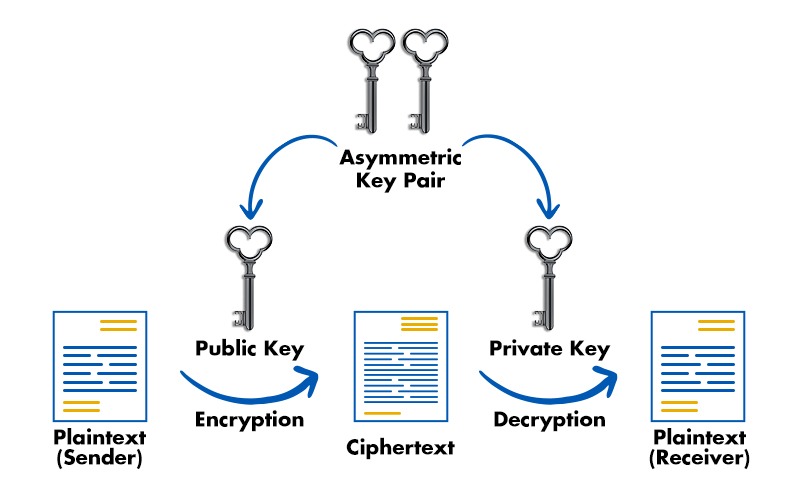 Difference between Symmetric and Asymmetric Key Cryptography 4 Asymmetric Key Cryptography