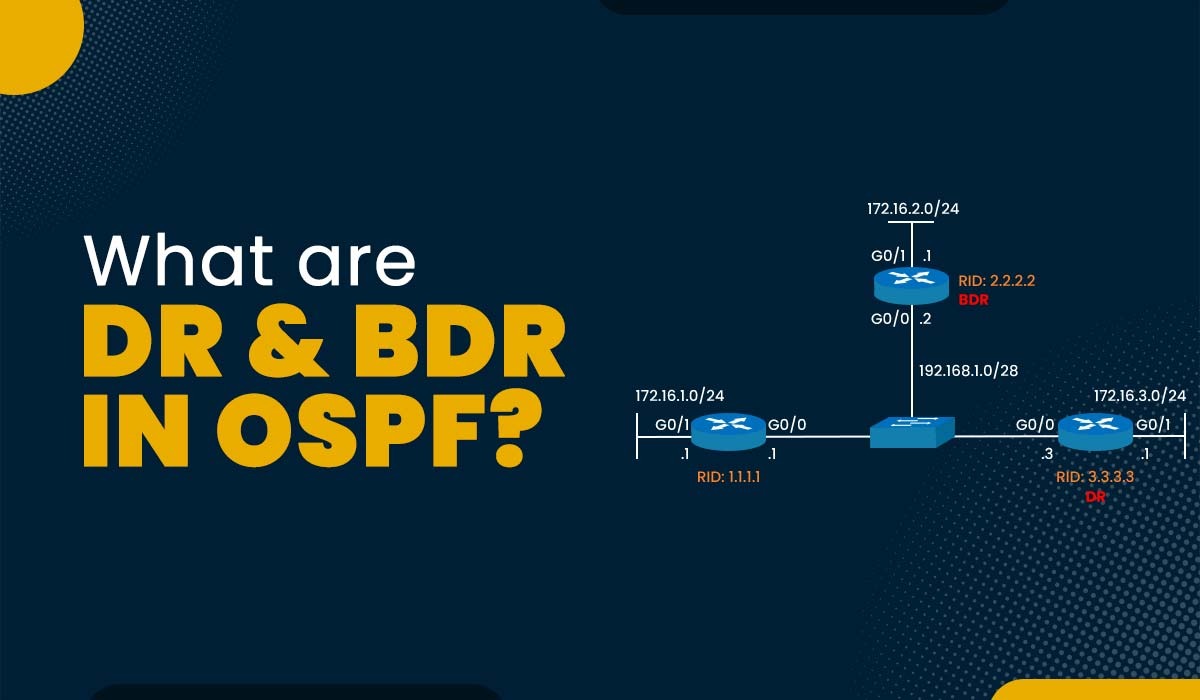 What are DR and BDR in OSPF
