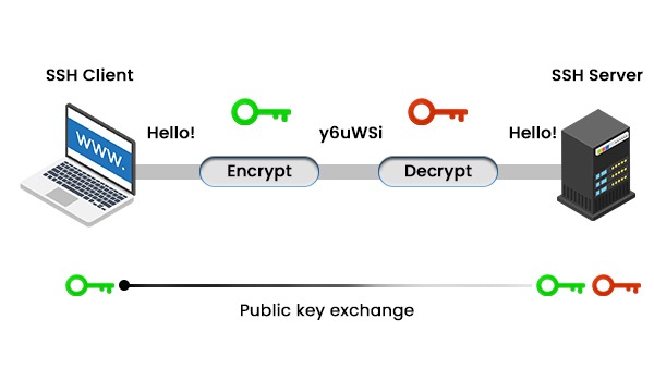 What is SSH (Secure Shell) in Networking? 2 Image showing a connection between an Secure Shell client and an SSH server through the use of public-key cryptography.