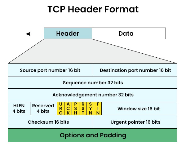 Transport Layer Protocols 7 TCP Header Format containing source port number, destination port number, sequence number. acknowledgement number, HLEN, Reserved, etc.