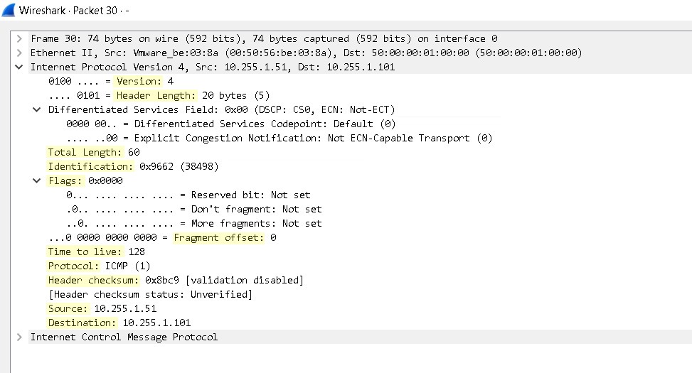 IPv4 Header Format, Diagram, and its Significance 4 Shows an IP Packet in Wireshark