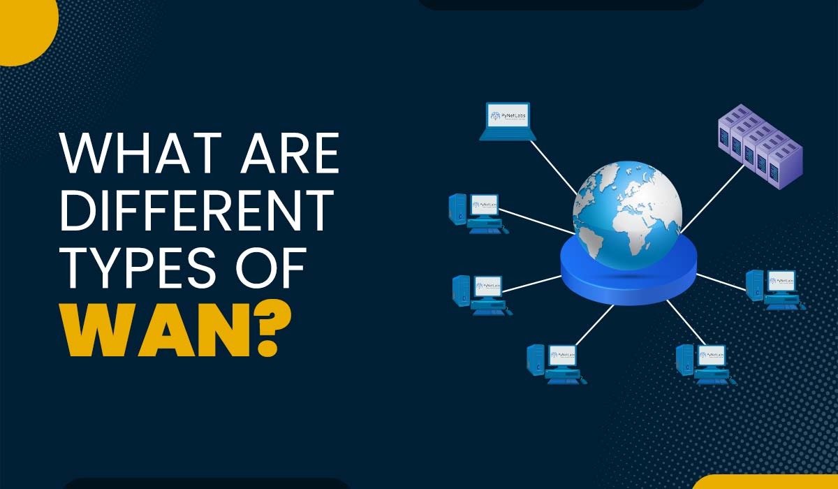 What are the Different Types of WANs?