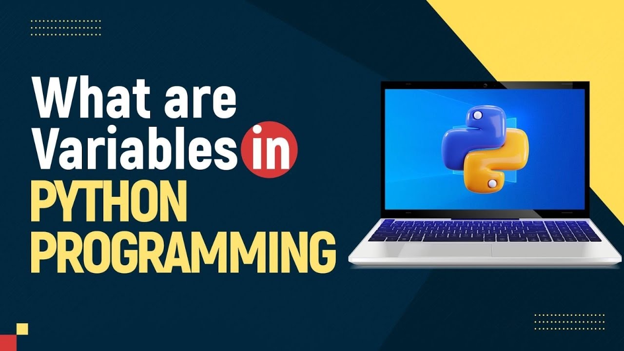 What is variable in Python Programming Img