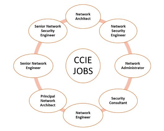 Some of the top CCIE Jobs in India (2025) 2 CCIE Jobs in India where CCIE jobs is written in middle, and all the jobs are written around it