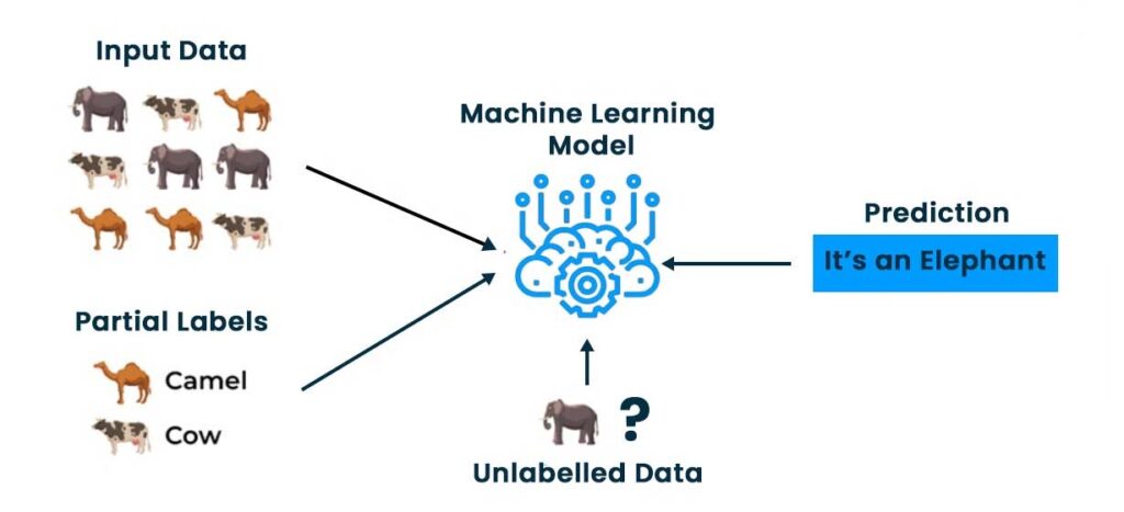 Input Data and Partial Labels are fed to Machine Learning Data having unlabeled Data and Prediction coming out
