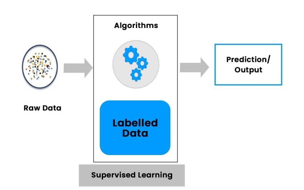 Raw Data entering Supervised Learning Model with Algorithms and prediction/output coming out of other end