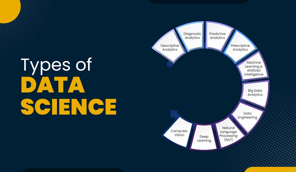 11 Types of Data Science | Tools, Examples, and Applications