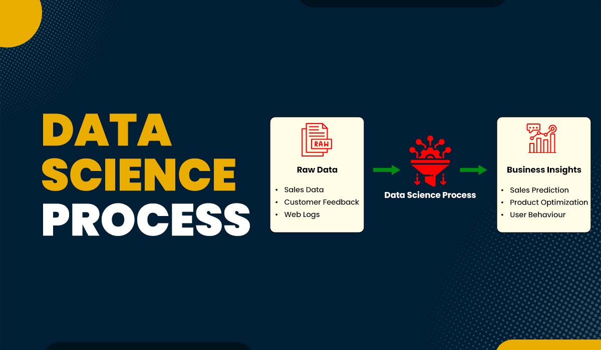 7 Essential Steps in the Data Science Process 