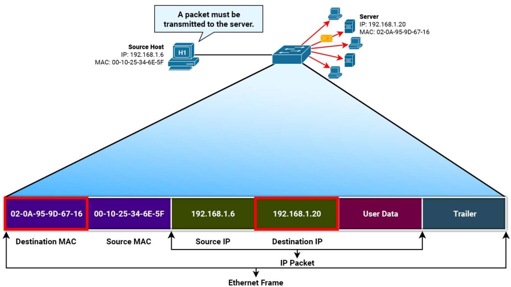 Ethernet Frame 1